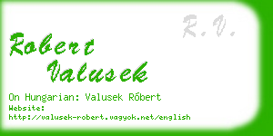 robert valusek business card
